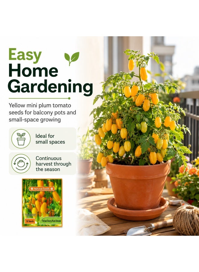 High Germination Rate Seeds - Yellow Beard Tomato - Image 2
