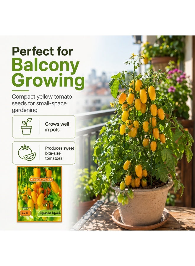 High Germination Rate Seeds - Yellow Beard Tomato - Image 3
