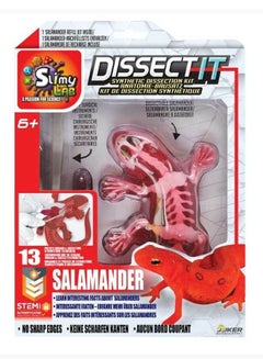 JOKER Slimy Lab Dissect It Synthetic Dissection Kit - Salamander UAE ...