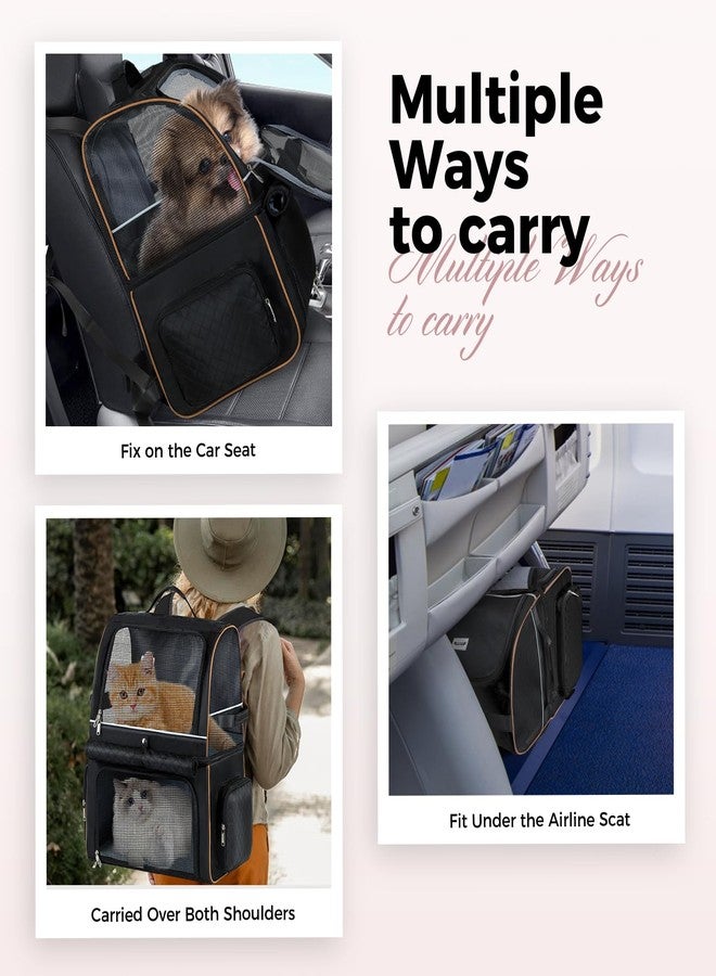Lekebobor Double Cat Backpack Carrier for 2 Cats, Double-Compartment Pet Carrier Backpack for Two Small Cat or One Medium Cat, Cats Carrier Backpack Dog Carrier Backpack Fits Up to 24 Lbs,Black - Image 5