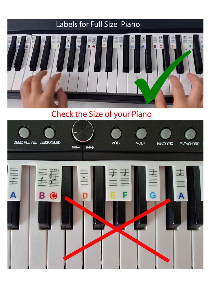 Winner Silicone Piano Keyboard Note Labels 88-Key Full Size  Removable Reusable Includes Storage Bag, No Stickers Needed (88 Keys Colored with Bag, 88 Keys) - Image 4