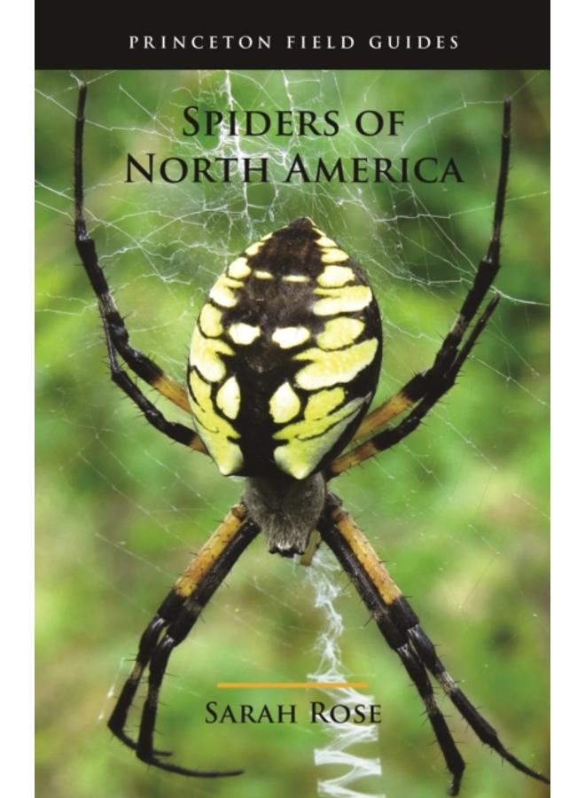 Spiders of North America 