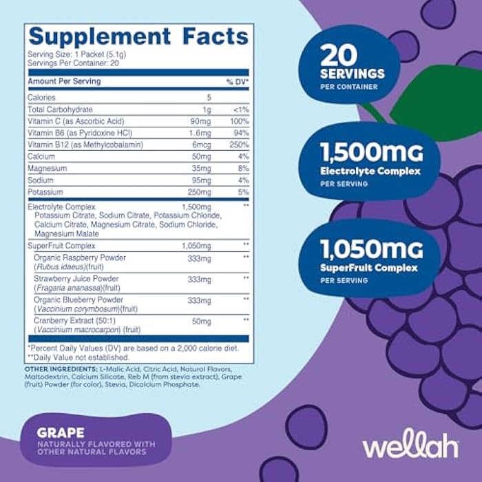 Wellah Splish Splash Hydration (Grape Flavor) 20 Stick Packs - Electrolyte Drink Mix with Superfruit Complex - Image 2