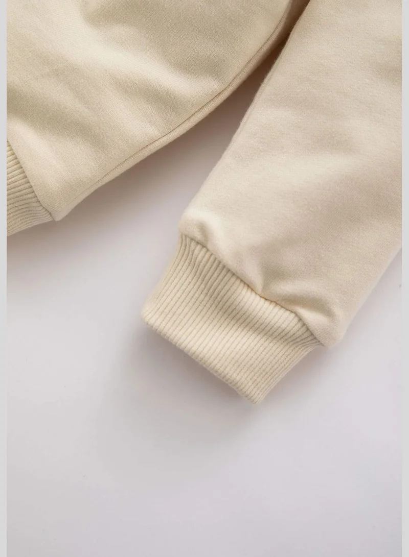 DeFacto BabyBoy Long Sleeve Knitted Sweatshirt