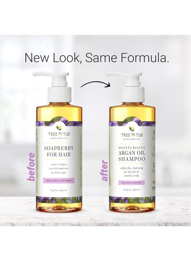 Tree to Tub Lavender Dry Hair Shampoo for Sensitive Scalp - Gentle Hydrating Dry Scalp Shampoo for Women & Men, Moisturizing Sulfate Free Shampoo w/Organic Argan Oil, Chamomile, All Natural Aloe Vera - Image 4