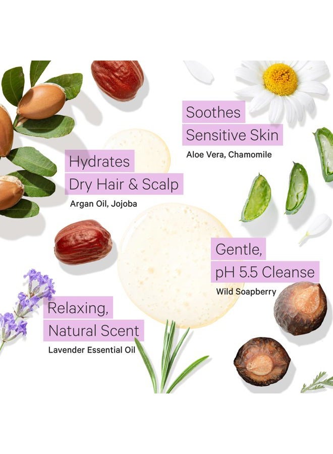 Tree to Tub Lavender Dry Hair Shampoo for Sensitive Scalp - Gentle Hydrating Dry Scalp Shampoo for Women & Men, Moisturizing Sulfate Free Shampoo w/Organic Argan Oil, Chamomile, All Natural Aloe Vera - Image 3