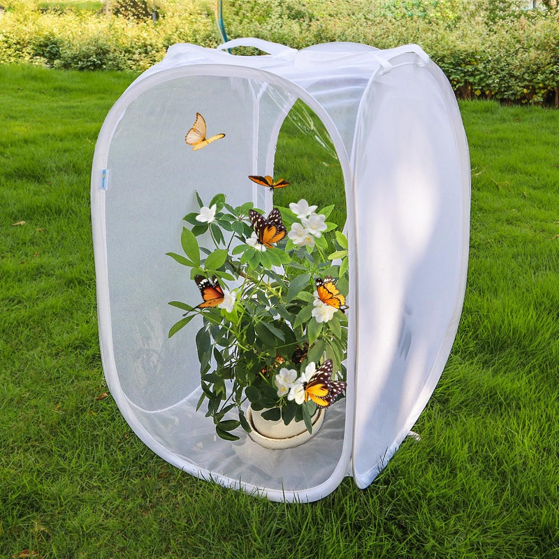 GDanes Pop-up Insect and Butterfly Habitat Cage Terrarium Clear Mesh Enclosure - 16" x 16" x 24" - Image 2