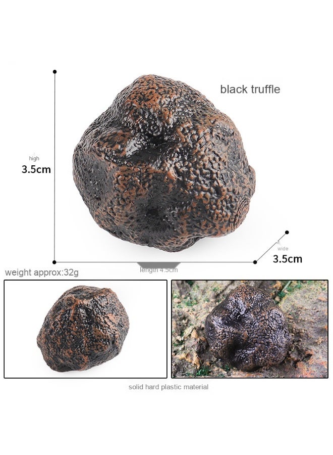 NIBEMINENT Fake Mushroom Model - Essential Educational Tool for Early Learning and Scene Photography