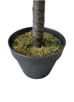Garden Oasis Landscaping Artificial Fiddle Leaf Fig Tree/Faux Ficus Lyrata for Home Office Decoration, 160cm Tall, Plastic Pot  - Image 3