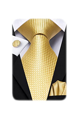 Hi-Tie Men Ties Sets Silk Stripe Paisley Necktie Pocket Square Cufflinks for Business Wedding,Gold - Image 1