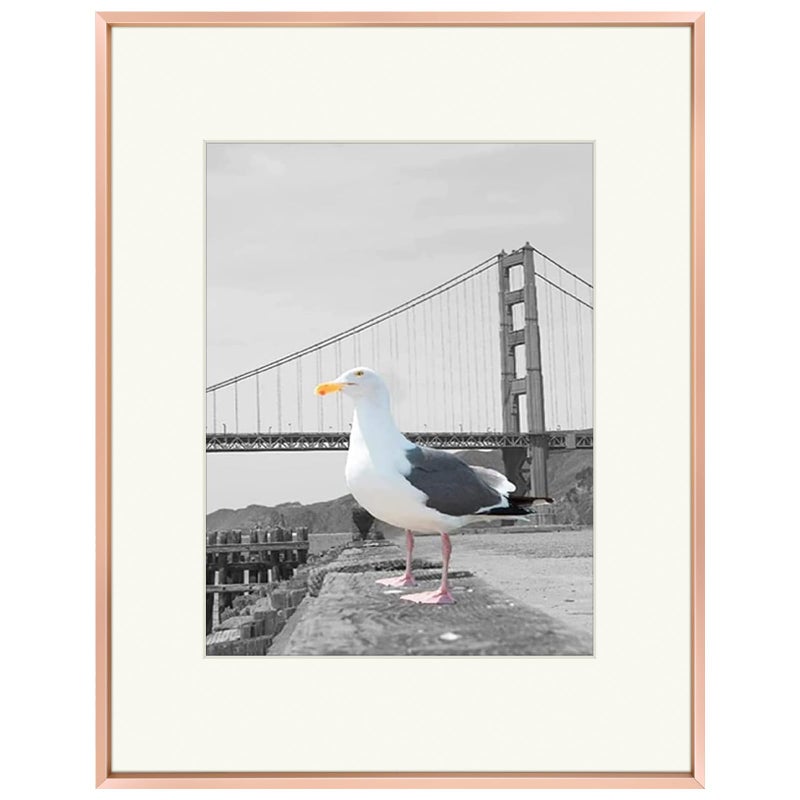 Frametory 16x20 Metal Picture Frame with Mat for 11x14 Picture  Real Glass Aluminum Photo Frame Collection Rose Gold 1 Pack