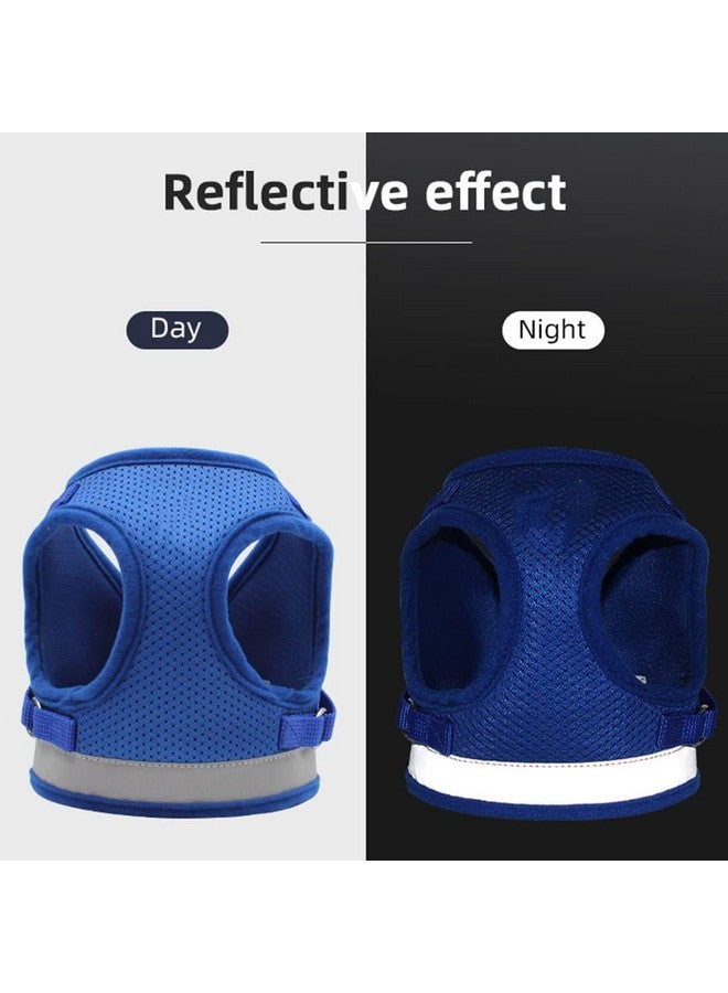 هارتس حزام عاكس للكلاب مع مقود قابل للتعديل | نسيج شبكي من البوليستر قابل للتنفس | مقاس كبير | Ht-844 | قبضة مريحة بدون شد | مشابك سريعة الفك | حزام سهل الارتداء والخلع | أزرق - Image 5