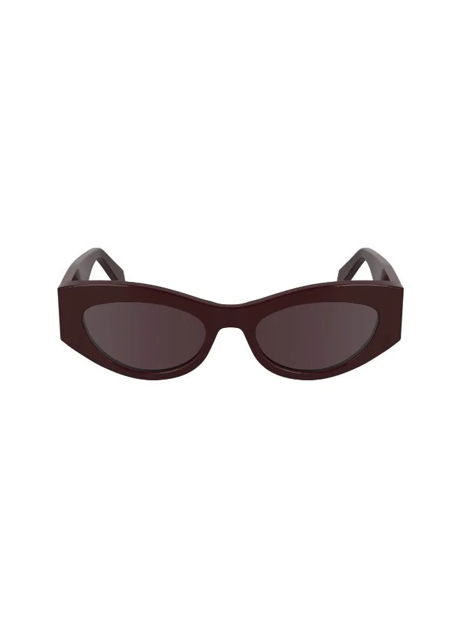 Calvin Klein Jeans  FULL RIM ACETATE CALVIN KLEIN JEANS SUN CKJ24626S  | Best Price UAE