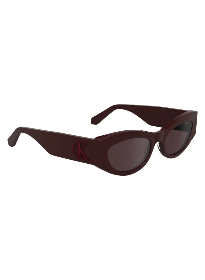 Calvin Klein Jeans  FULL RIM ACETATE CALVIN KLEIN JEANS SUN CKJ24626S  | Best Price UAE