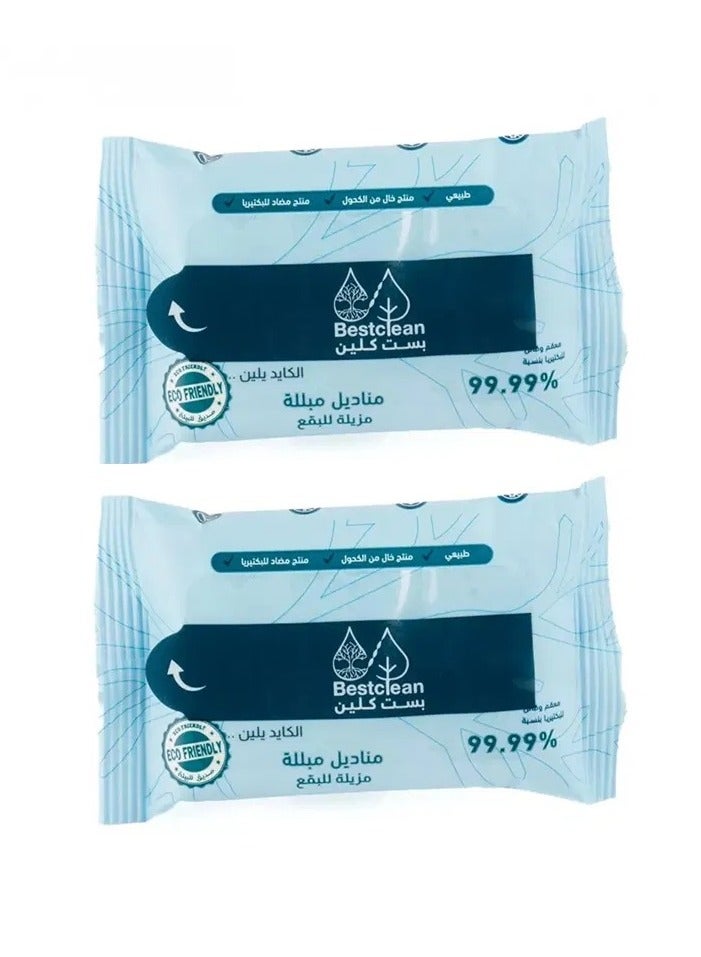 بست كلين قطعتين من مناديل بست كلين لإزالة البقع - Image 1