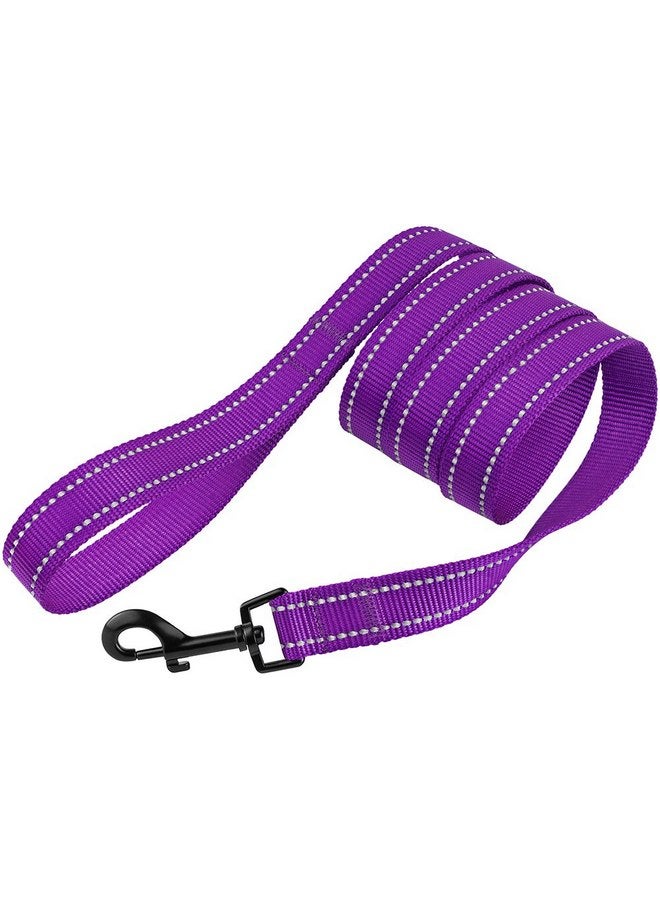 CollarDirect Nylon Dog Leash 5ft for Daily Outdoor Walking Running Training Heavy Duty Reflective Pet Leashes for Large, Medium & Small Dogs (L, Purple) - Image 3