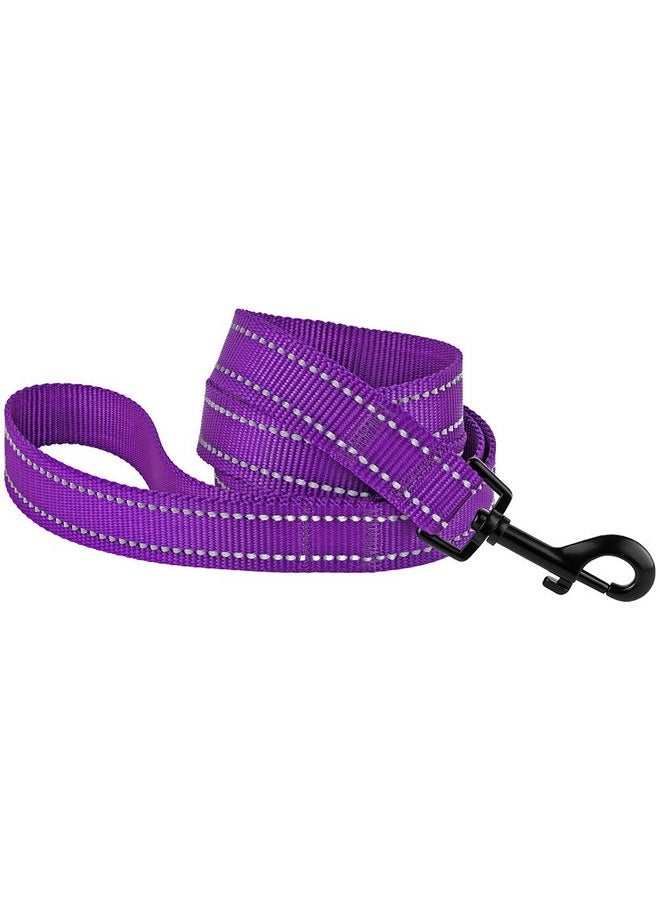 CollarDirect Nylon Dog Leash 5ft for Daily Outdoor Walking Running Training Heavy Duty Reflective Pet Leashes for Large, Medium & Small Dogs (L, Purple) - Image 2