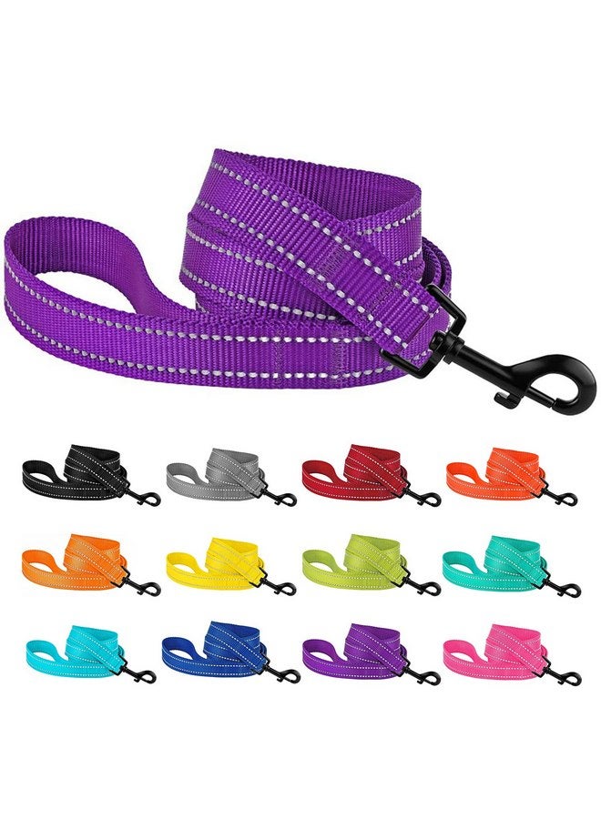 CollarDirect Nylon Dog Leash 5ft for Daily Outdoor Walking Running Training Heavy Duty Reflective Pet Leashes for Large, Medium & Small Dogs (L, Purple) - Image 1