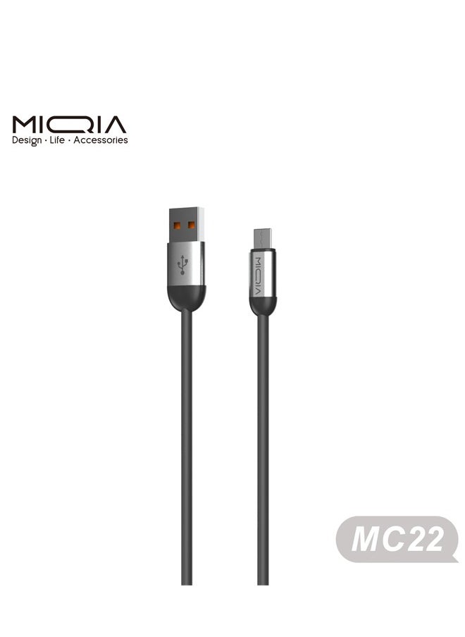 MC-22 2.4A Supercharge lightning Cable Silver
