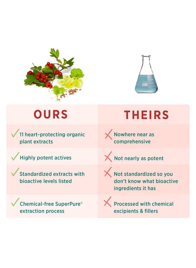 بيور سينرجي PURE SYNERGY Heart Protector | دعم صحة القلب العضوي | مكمل غذائي شامل للقلب مع توت الزعرور العضوي والريسفيراترول والناتوكيناز | لدعم القلب والدم والأوعية الدموية (60 كبسولة) - Image 4