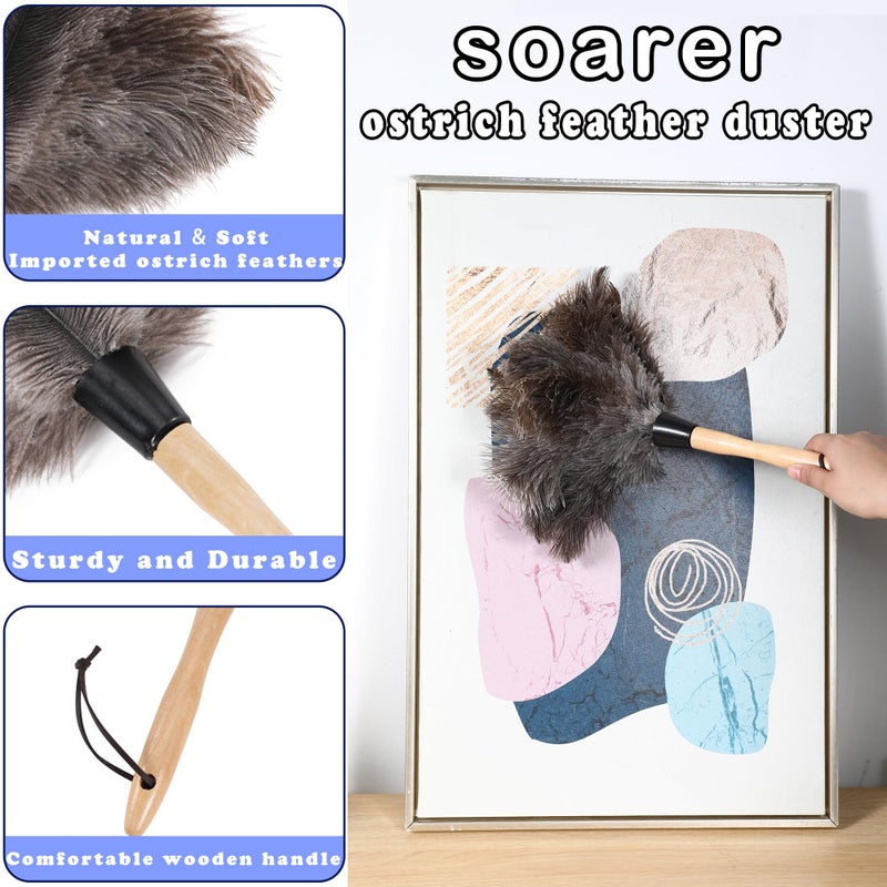 SOARER النعمة النعمة DUTER - 14 بوصة مقبض رقيق القابل لإعادة الاستخدام ريشة 2pcs الفرش - Image 2