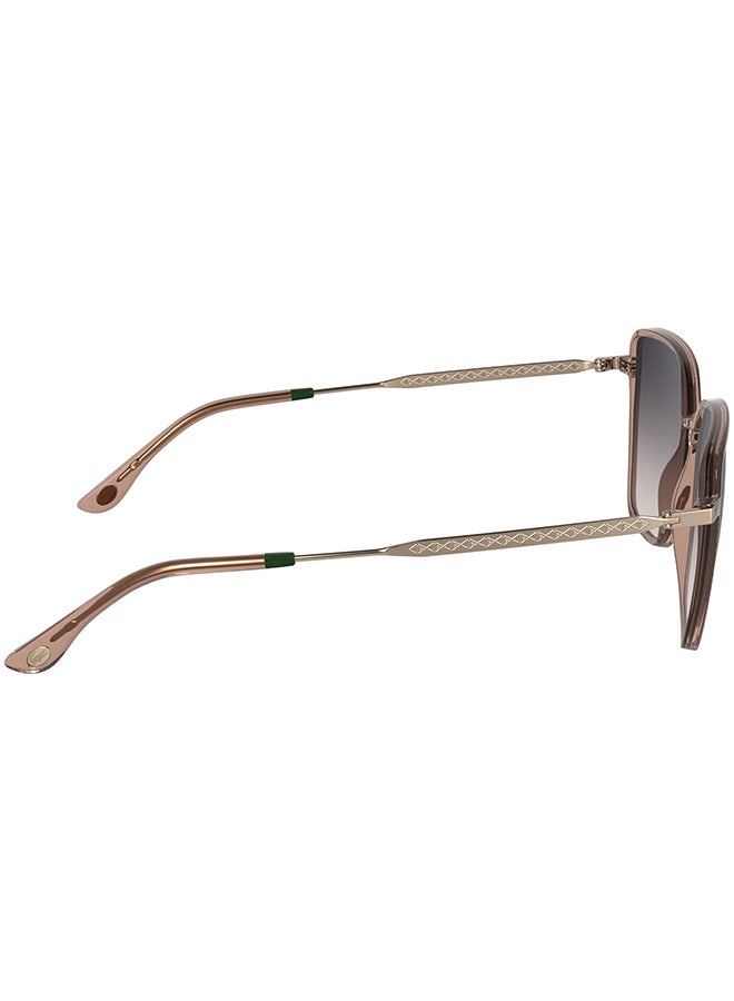 LACOSTE نظارات شمسية لاكوست كاملة الإطار L6062S 5615 (662) بلون شفاف وردي - Image 5