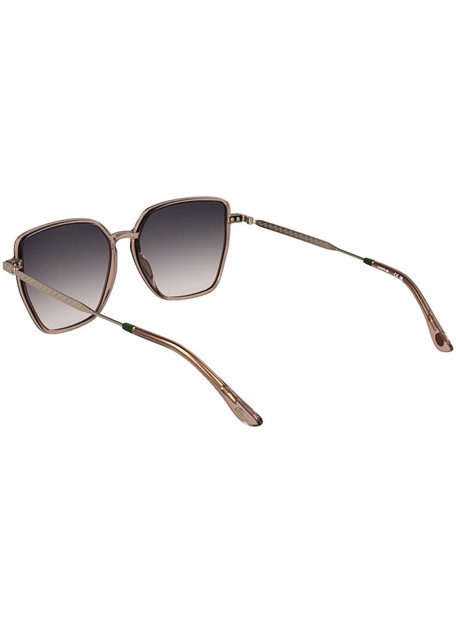 LACOSTE نظارات شمسية لاكوست كاملة الإطار L6062S 5615 (662) بلون شفاف وردي - Image 2