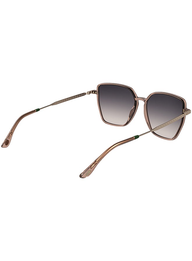 LACOSTE نظارات شمسية لاكوست كاملة الإطار L6062S 5615 (662) بلون شفاف وردي - Image 4