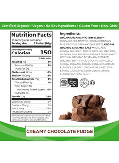 Orgain Organic Vegan Protein Powder, Creamy Chocolate Fudge  - Image 2
