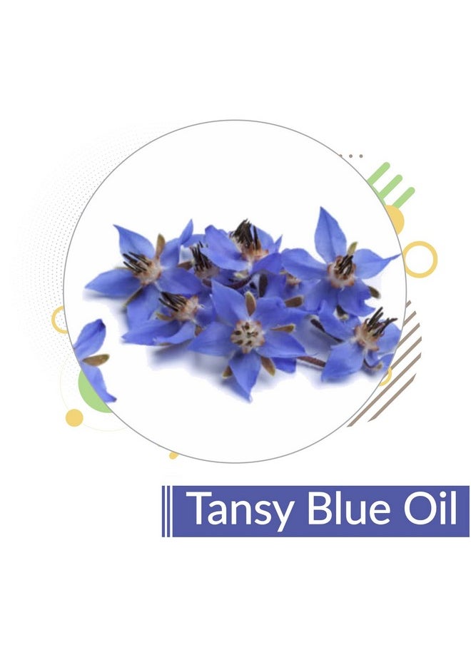 كريساليس زيت Crysalis Tansy (Tanacetum Vulgare) | زيت عطري عضوي نقي وطبيعي 100% غير مخفف، يهدئ ويريح البشرة الحساسة والمضطربة، أفضل زيت للبشرة المعرضة للحبوب (100 مل (عبوة من قطعة واحدة))  - Image 2