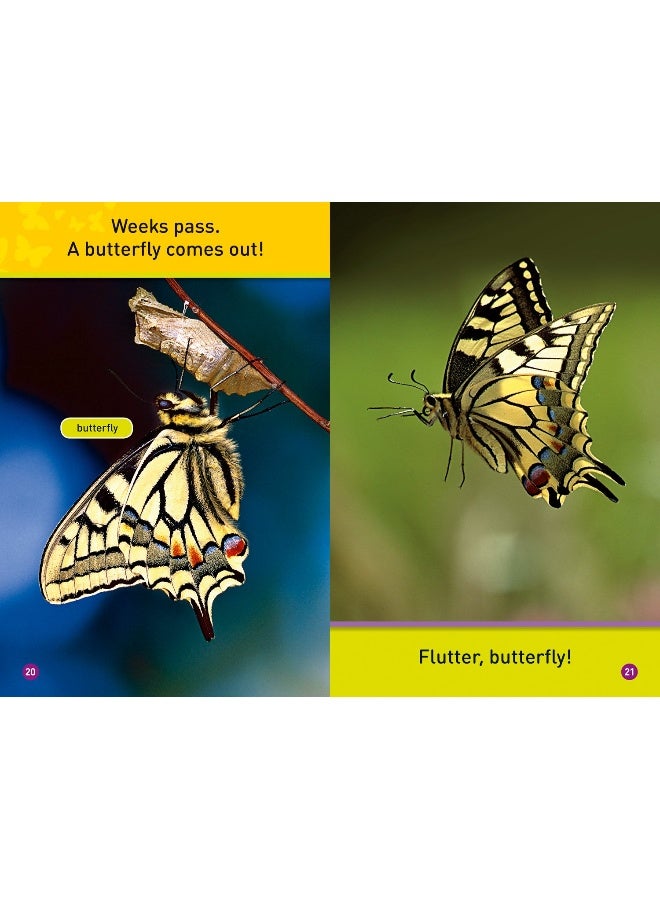 Flutter, Butterfly!: Level 1 - Image 3