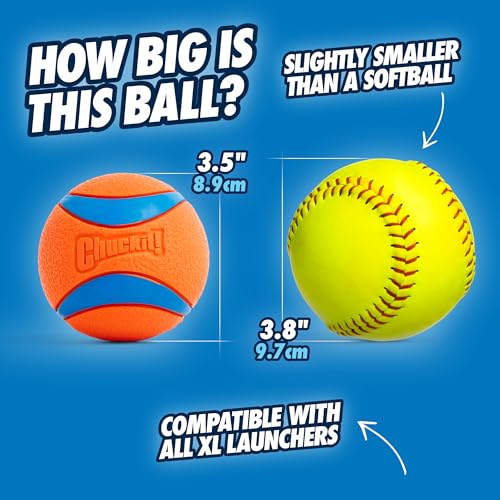 Chuckit! Ultra Ball for Dogs, Durable High-Bounce Balls, Water-Resistant, Floats, High Visibility, Gentle on Teeth, Gums, Easy to Clean, for Fetch and Pool Games, X-Large - Image 5