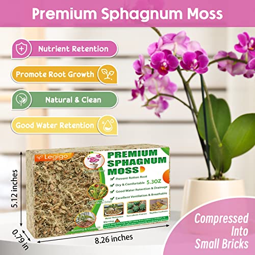 Legigo 5.3oz Premium Sphagnum Moss Potting Mix- Natural Succulent Carnivorous Plants Moss Dried, Plant Growing Medium for Orchid Succulent Sarracenia Orchid Gardening Plants Reptiles, 6 QT - Image 2