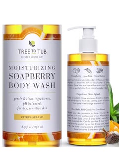 Tree to Tub Citrus Body Wash for Dry Skin & Sensitive Skin - pH Balanced Moisturizing Body Wash, Hydrating Sulfate Free Body Soap for Women & Men - pzsku/ZE1EDF94E08F6041D6EF5Z/45/_/1740235337/d3763fe4-21d3-4581-bef8-201293038947