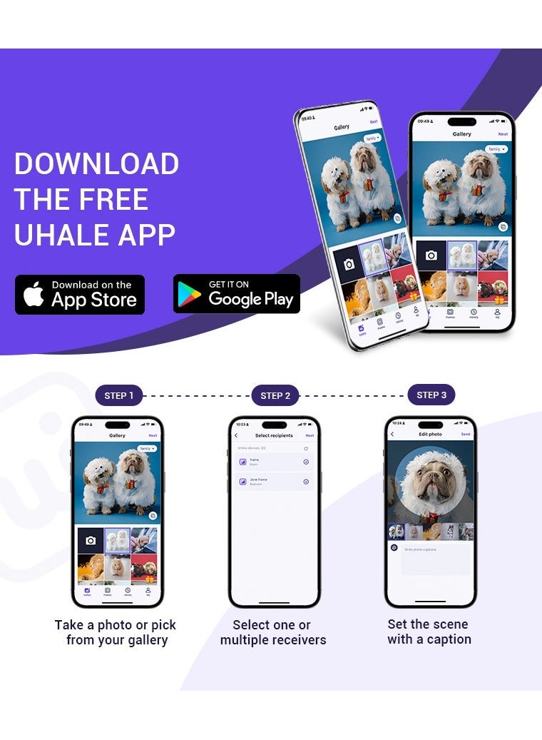 إطار صور رقمي 10.1 بوصة، ذاكرة 16GB، شاشة لمس مع WiFi، دقة ‎1280×800‎ IPS، دوران تلقائي، قابل للتثبيت على الحائط - Image 3