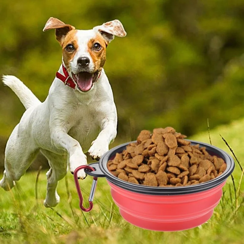 Rennway Foldable Cat Dog Food and Water Bowl Dog Toy
