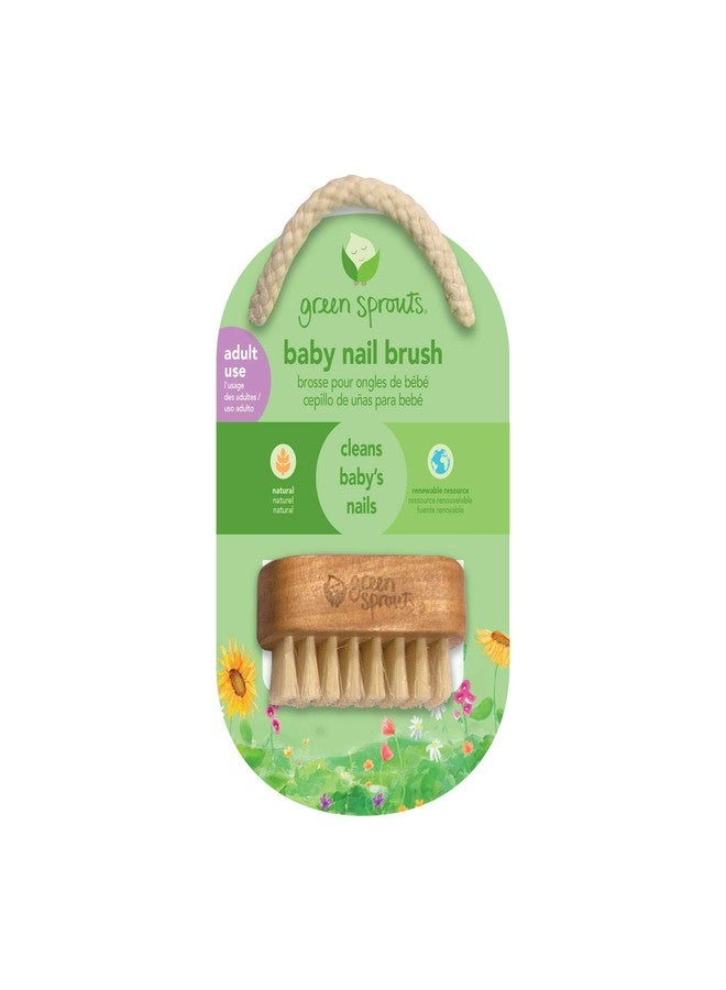 green sprouts Baby Nail Brush, Gently Cleans Baby’s Nails, Soft, Natural bristles for Comfort, Easy to Grasp Wood Handle, Made from Natural, Non-Petroleum Materials - Image 2