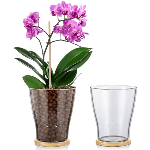 Baderke Glass Orchid Pots with Holes and Bamboo Tray Glass Pot Water Level Control Semi Hydroponic Transparent Root Transparent Indoor Orchid Planter for Home Indoor Outdoor Plant Lovers 512 Inch - Image 1