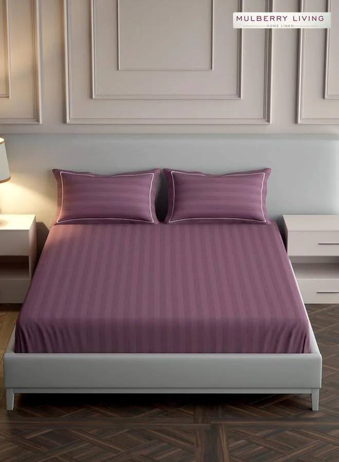 Mulberry Living 100% Cotton King Fitted Bedsheet With 2 Pillow Covers - 300Tc Elysian Stripes - Plum