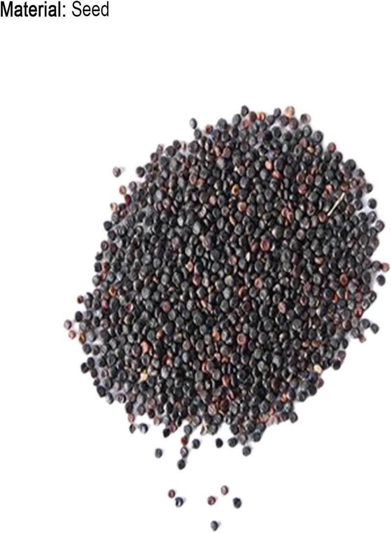 جي جوت 50 قطعة من بذور النباتات الطبيعية من صبغة الحصاد الجيد، بذور نباتات بونساي للحدائق والأعشاب الطبية للزراعة في الأماكن المغلقة والمفتوحة - بذور النيلي الياباني - Image 3