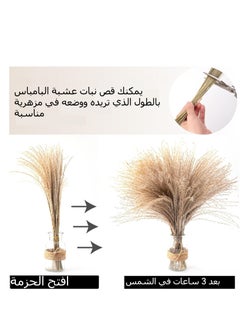 Generic 100PCS Pampas Grass Decor, 18 inch Dried Pampas Grass for Home Table Vase Rustic Farmhouse Decor, Fall Decor Wedding Decorations  - Image 2