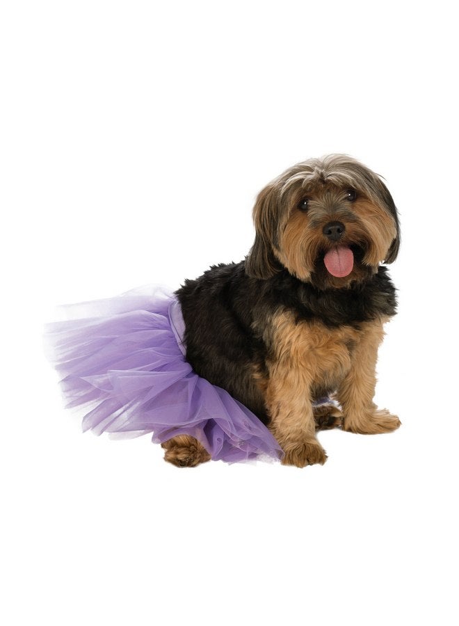 تنورة توتو للحيوانات الأليفة من روبي، أرجوانية، متوسطة/كبيرة