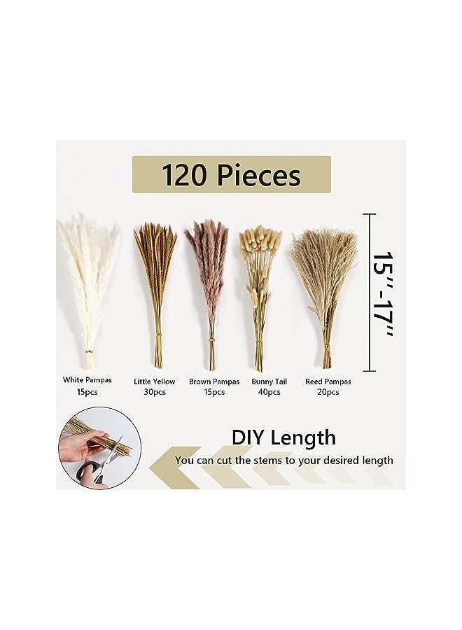 The Bros 120 PCS Dried Pampas Grass Bouquet, Boho Table Decor, Bunny Tails Dried Flowers, Brown Pompas, White Pampas Grass for Wedding, Home, Rustic Party, Baby Shower Decorations - Image 2