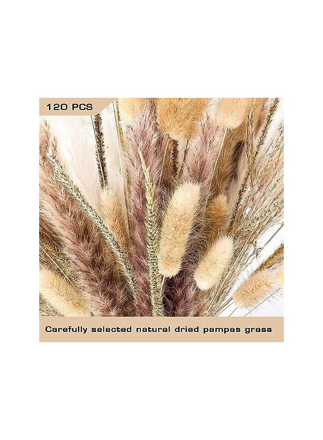 The Bros 120 PCS Dried Pampas Grass Bouquet, Boho Table Decor, Bunny Tails Dried Flowers, Brown Pompas, White Pampas Grass for Wedding, Home, Rustic Party, Baby Shower Decorations - Image 3