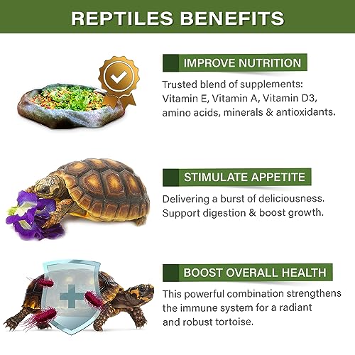 Gargeer 2oz Forest Tortoise Food Supplement, Flower Salad Mix Topper. Supercharge Juveniles & Adults Appetite, Health & Immune System. Complete Diet, Rich with Vitamins, Made in The USA. Enjoy! - Image 4