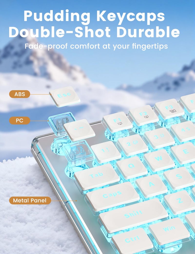SABLUTE Wireless Keyboard and Mouse Combo - 9 Backlit Effects, Wrist Rest, Double-Shot Keycaps, Metal Panel, Long-Lasting Rechargeable, 2.4G Keyboard Mouse Set for Windows Mac PC Laptop â€“ Sablute (White) - Image 2