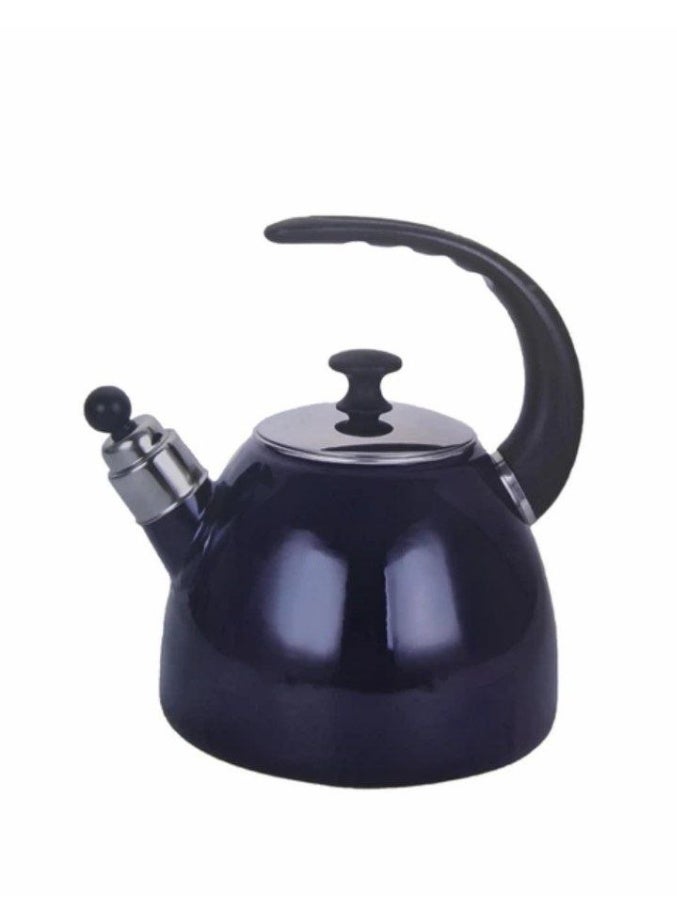 plated stainless steel brazier for direct fire. - Image 2
