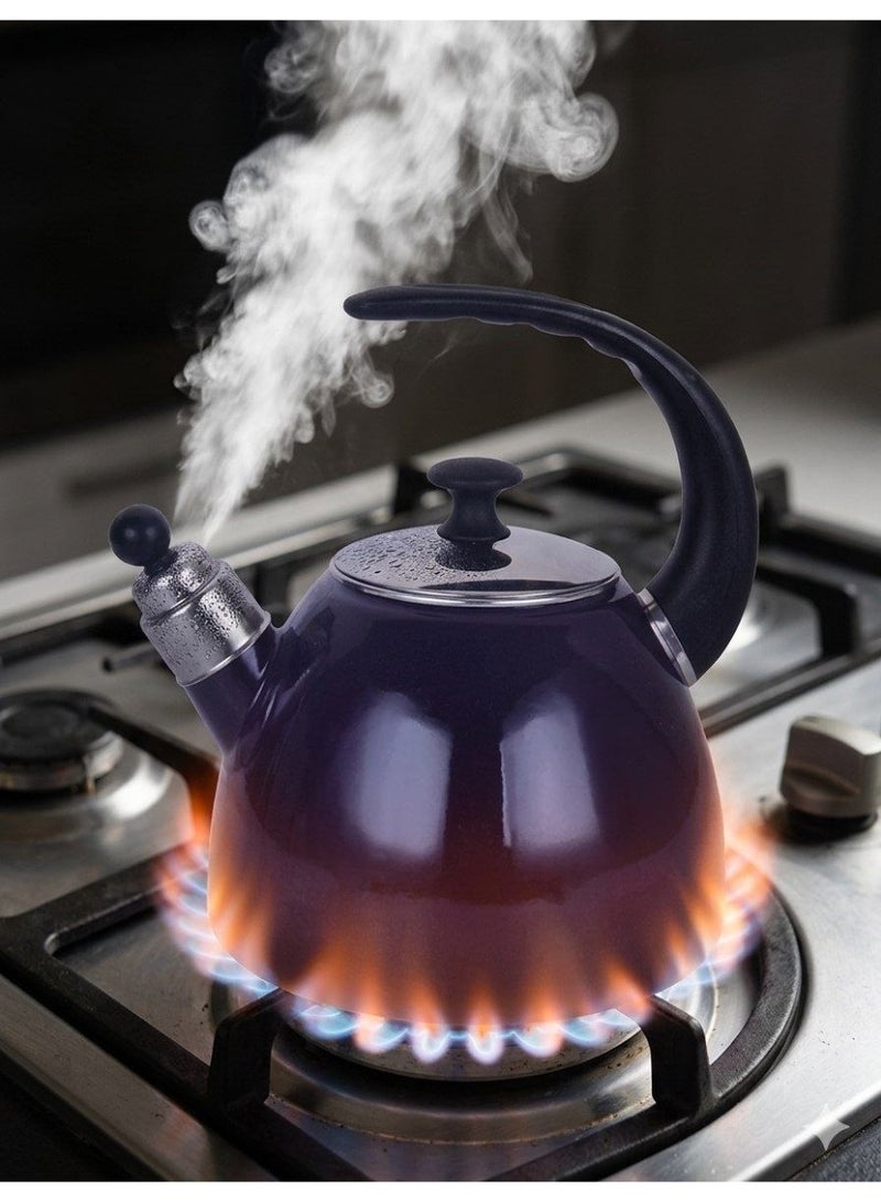 plated stainless steel brazier for direct fire. - Image 3