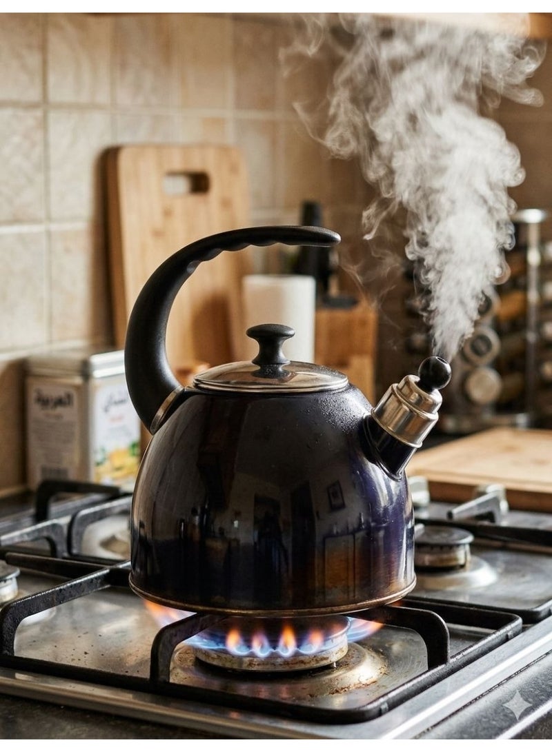 plated stainless steel brazier for direct fire. - Image 1