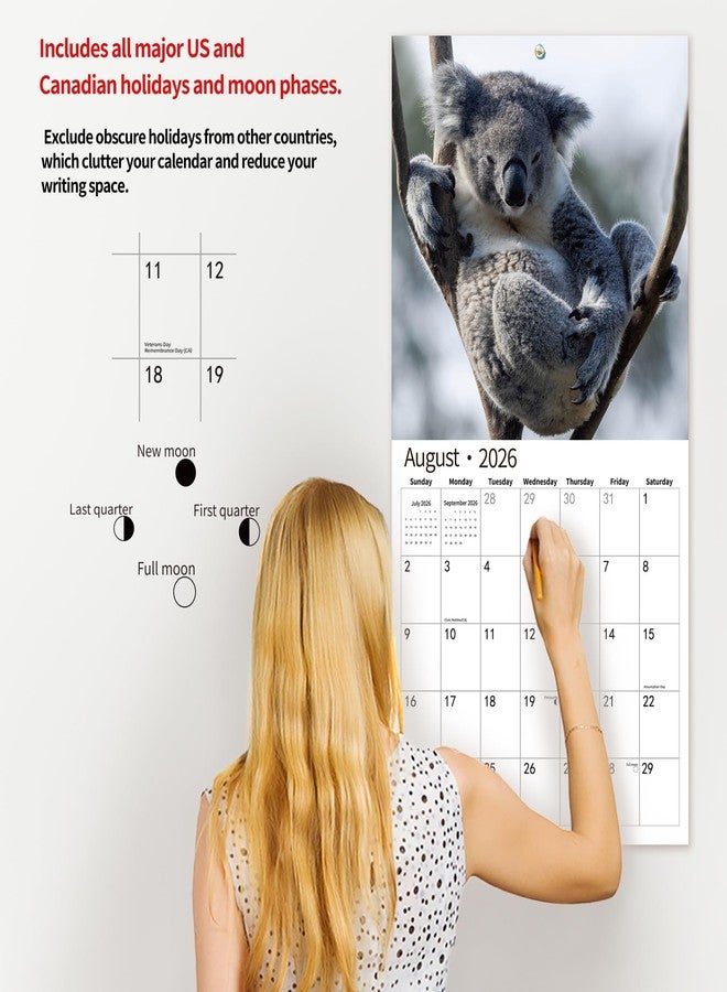 windrio 2026 Wall Calendar,Calendar 2026, November 2025 - December 2026, Wall Calendar Koala, 12" x 24" Opened,Full Page Months Thick & Sturdy Paper for Gift Perfect Calendar Organizing & Planning - Image 5
